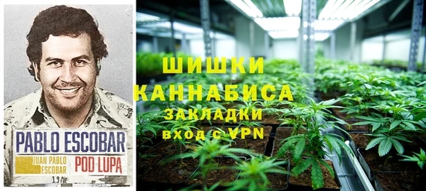 амф Горнозаводск